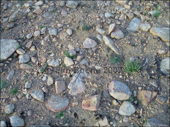 Stony Desert Soil