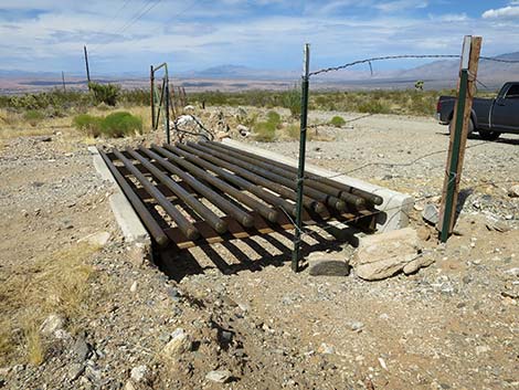 cattle guard