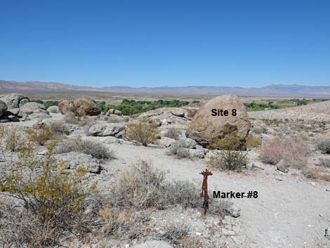 Ash Springs Rock Art Site