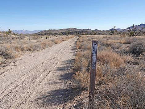 Grasslands Trail