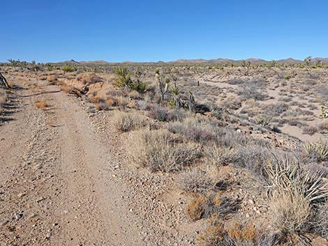 Grasslands Trail