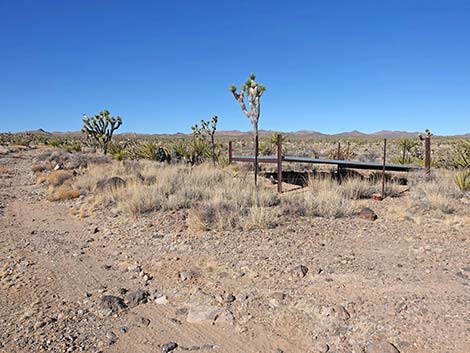 Grasslands Trail