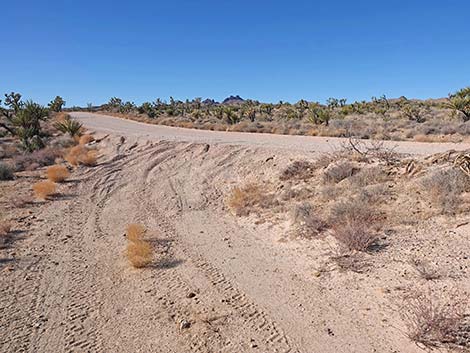 Grasslands Trail