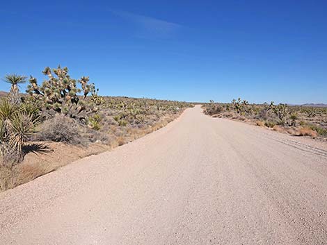 Grasslands Trail