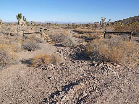 Grasslands Trail