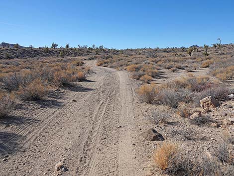 Grasslands Trail