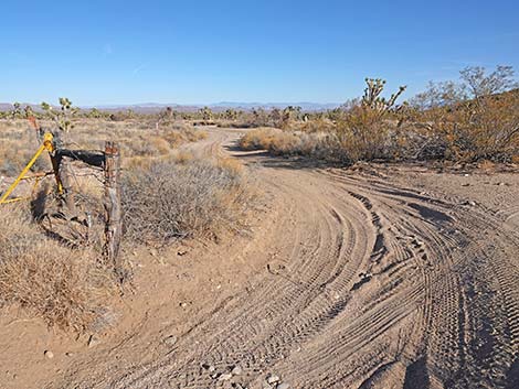 Grasslands Trail