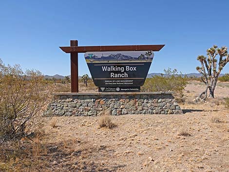 Walking Box Road