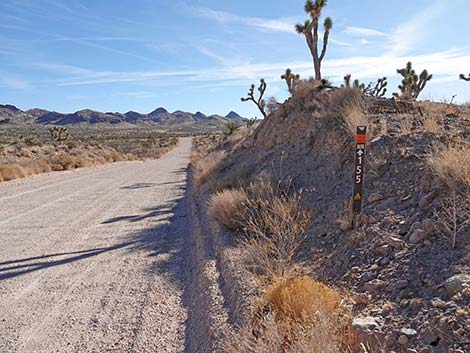 Walking Box Ranch Road