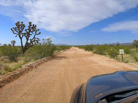 Walking Box Road