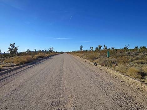 Walking Box Ranch Road