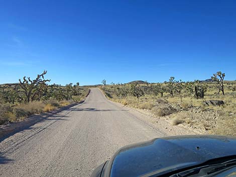 Walking Box Ranch Road