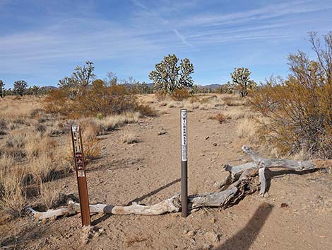 Wagon Road Trailhead