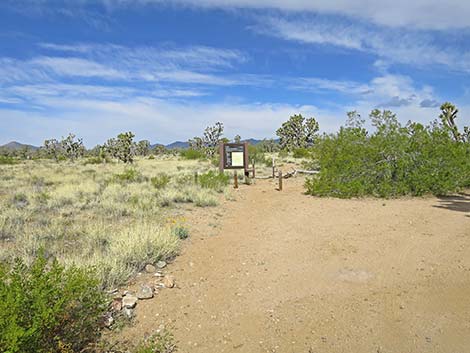 Wagon Road Trailhead