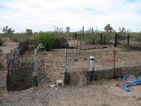 Walking Box Ranch