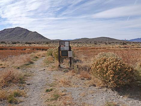 Hot Creek