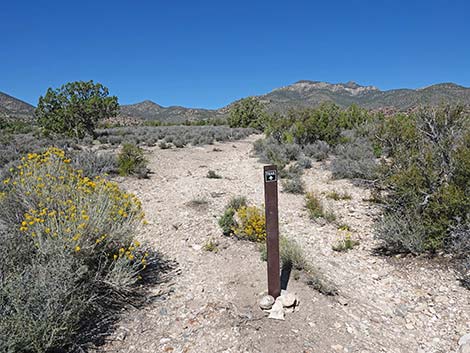 Mount Irish Campground