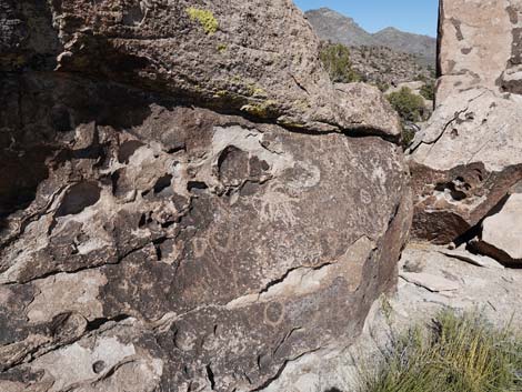 Paiute Rock Site 8