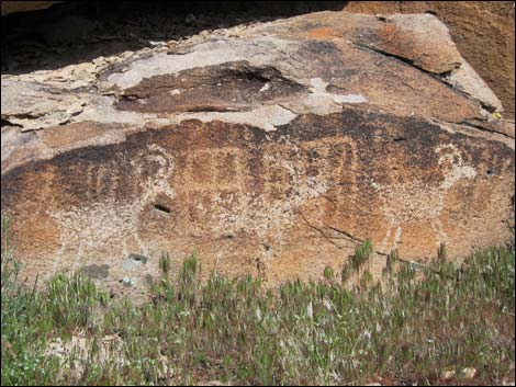 Pahranagat Man