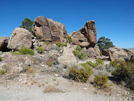 Shaman Knob Site 1