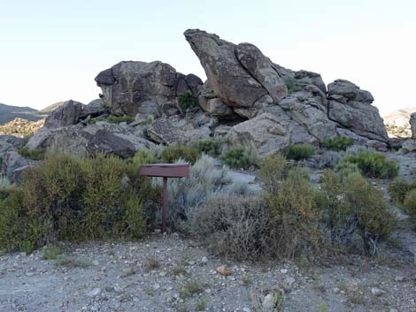 Shaman Knob Site 1