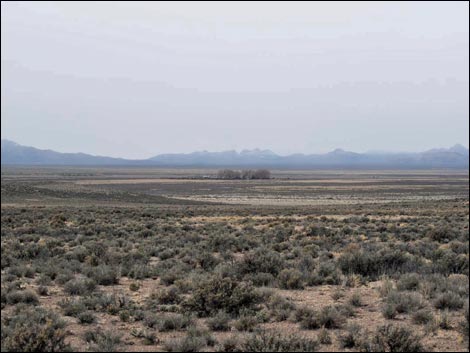 Michael Heizer's City