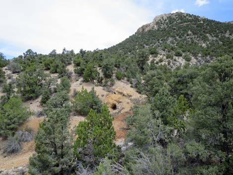 Rosario Mine