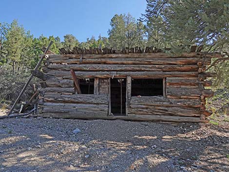 Rosie's Mining Cabin