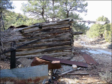 Rosie's Mining Cabin