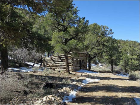 Rosie's Mining Cabin