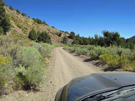 Cherry Creek Road