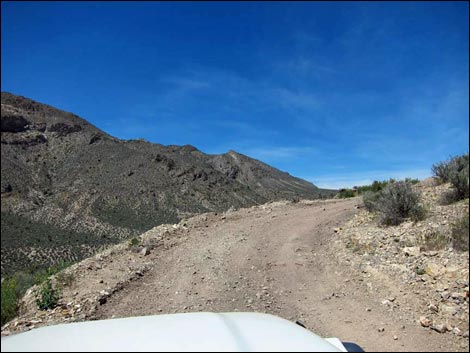 Curtis Canyon Road