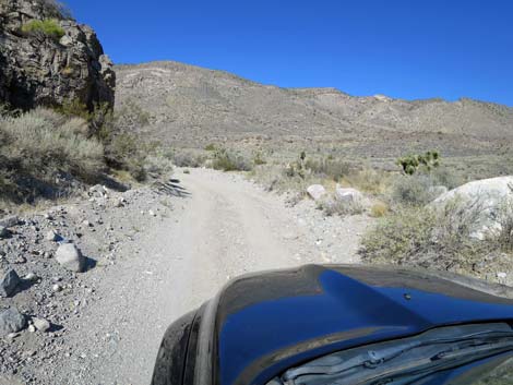 Curtis Canyon Road