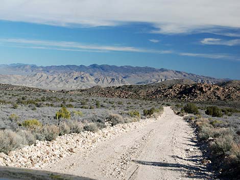 Logan Canyon Road