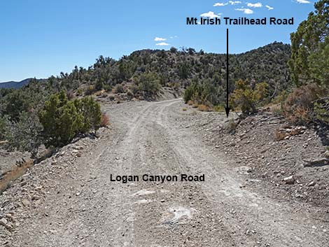 Logan Canyon Road