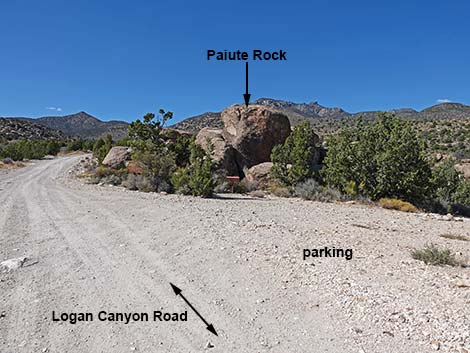 paiute rock