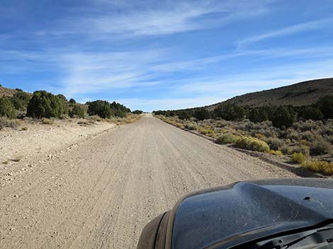 Shadow Road