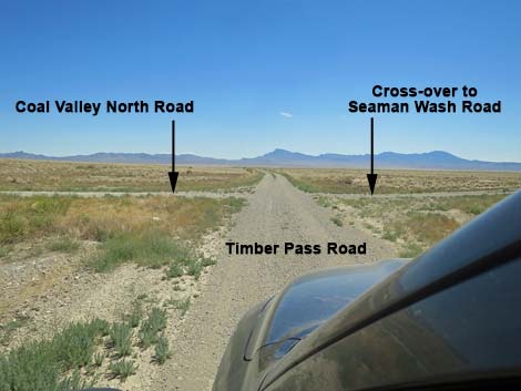 Timber Pass Road