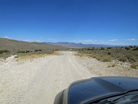 Timber Pass Road