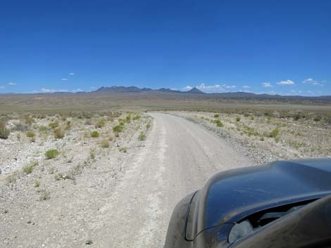 Timber Pass Road