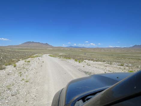 Timber Pass Road