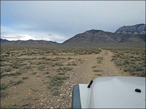 Whipple Cave Access Road