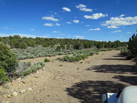 Wild Horse Valley Road