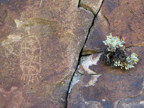 Shooting Gallery Rock Art Site