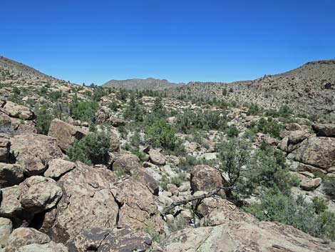 Shooting Gallery Rock Art Site