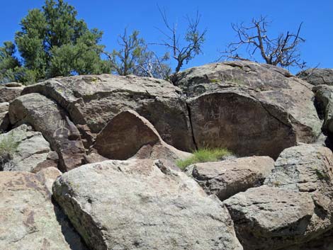 Shooting Gallery Rock Art Site