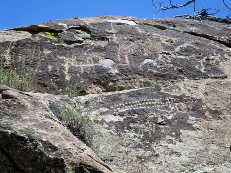 Shooting Gallery Rock Art Site