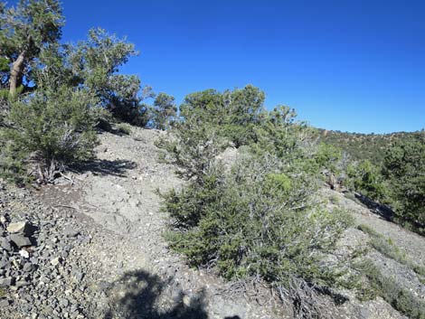 Tikaboo Peak