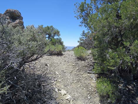 Tikaboo Peak