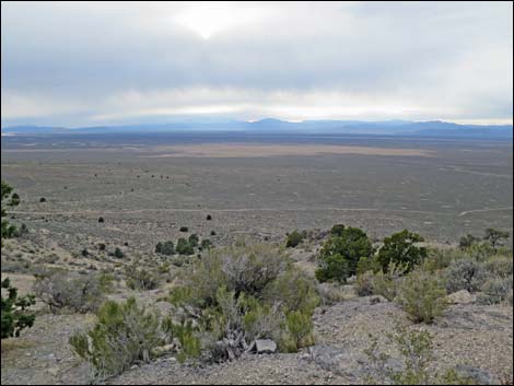 Whipple Cave